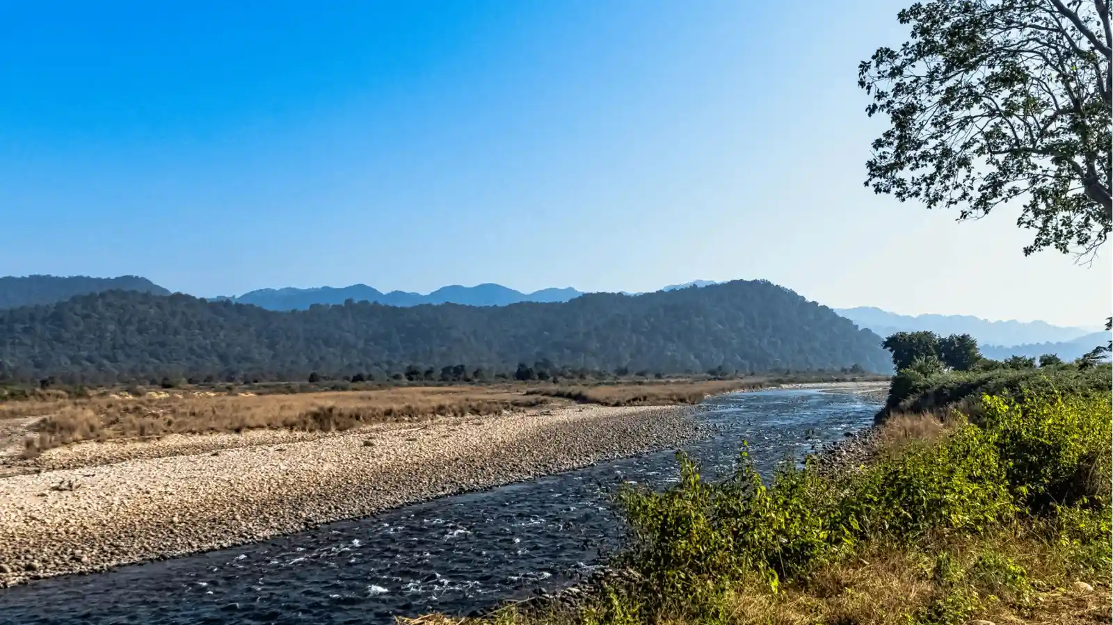 Jim Corbett National Park